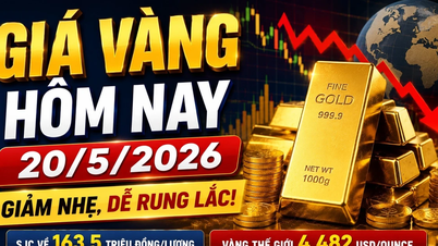 Giá vàng hôm nay 20/5: SJC, BTMC, PNJ, Doji giảm theo vàng thế giới?