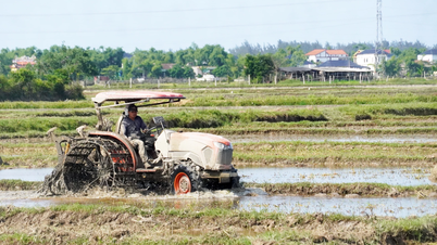 ខេត្តបាក់យ៉ាង (Bac Giang) ត្រៀមខ្លួនជាស្រេចសម្រាប់រដូវដាំដុះរដូវក្តៅ-រដូវស្លឹកឈើជ្រុះ។