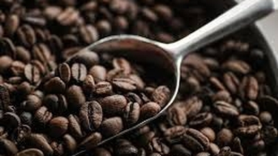 Giá cà phê hôm nay 20/5: Tăng trở lại, robusta thoát đáy 1 tháng