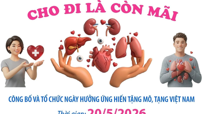Día de la Donación de Órganos y Tejidos en Vietnam, 20 de mayo: Dar es para siempre.