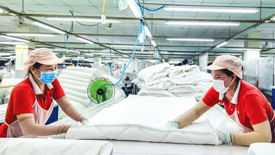 Nâng cao năng lực điều hành, tạo động lực phát triển kinh tế tư nhân