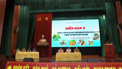 Phát triển rừng bền vững gắn với sinh kế và kinh tế dưới tán rừng