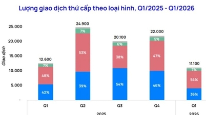 Le marché immobilier entre dans un nouveau cycle : le capital spéculatif est progressivement remplacé.