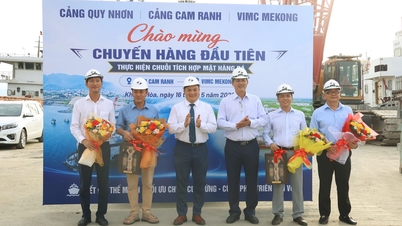 Τα λιμάνια Quy Nhon, Cam Ranh και Hau Giang εφαρμόζουν την πρώτη ολοκληρωμένη αλυσίδα logistics για προϊόντα πέτρας.