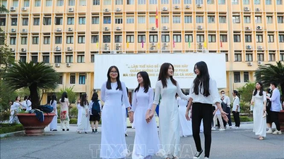 Hỏi đáp số 119