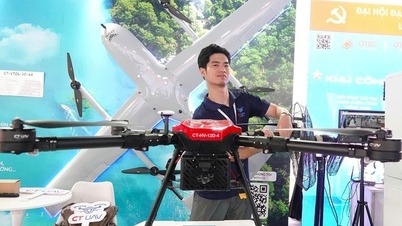 ホーチミン市には、低高度経済活動を支える航空機製造センターが設置される予定だ。