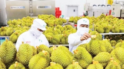 Усиление контроля над цепочкой поставок сельскохозяйственной продукции.