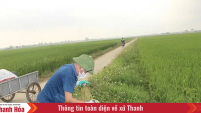 ការពារបរិស្ថានក្នុងការកសាងជនបទថ្មី។