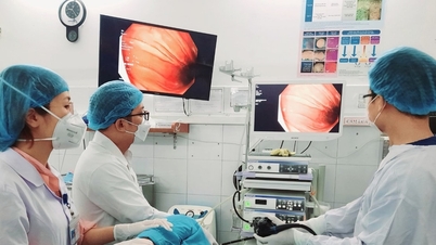 Mejorar la calidad de la atención sanitaria en la región.