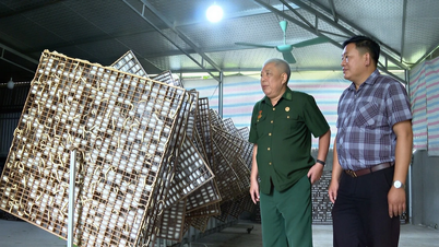 Veteranii din cartierul Au Lau demonstrează rezistență pe plan economic.