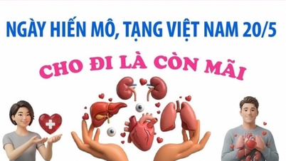 Vietnam Organ ve Doku Bağışı Günü'nde merhamet eylemlerini kutluyoruz.