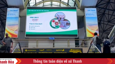 Ampliación del espacio de "experiencia digital" para los productos OCOP en Thanh Hoa.