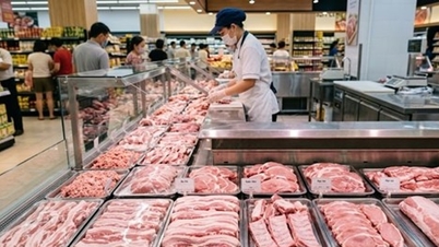 Preços da carne suína hoje, 20 de maio: Os preços dos porcos vivos em Hanói e na Cidade de Ho Chi Minh registraram uma leve queda.