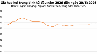 Varkensvleesprijzen vandaag, 20 mei: Dong Nai handhaaft de prijs op 70.000 VND/kg, terwijl Hanoi en Ho Chi Minh-stad beide een daling laten zien.