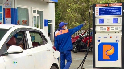 A província de Lam Dong está pronta para fazer a transição para o bioetanol E10.