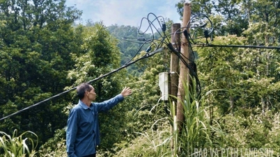 Preocupación por las líneas eléctricas instaladas ilegalmente.