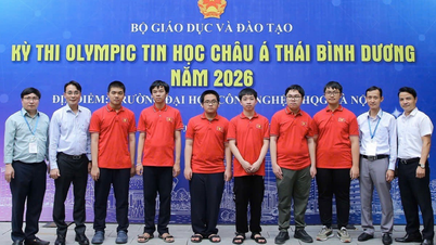 Vietnam memenangi 2 pingat emas di Olimpik Informatik Asia-Pasifik.