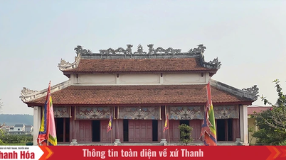 নতুন যুগে থান হোয়া সংস্কৃতি (পর্ব ১): থান হোয়া সংস্কৃতি – স্বতন্ত্র কিন্তু অস্বাভাবিক নয়