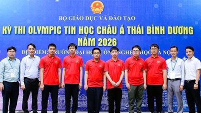 Vietnam memenangi 6 pingat di Olimpik Informatik Asia-Pasifik 2026.