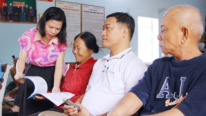 Xã Phúc Hòa đưa giải pháp IMO vào sản xuất vải thiều chất lượng cao
