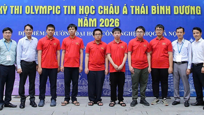 Vietnamlı öğrenciler Asya-Pasifik Bilişim Olimpiyatı'nda büyük başarı elde etti.