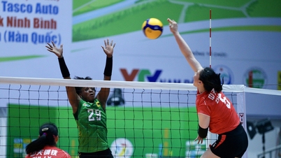 VTV9 - Binh Dien Volleyball Cup Semifinalspel idag: Oväntade matcher svåra