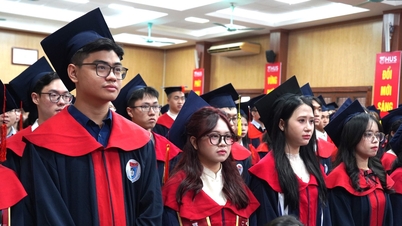 Bồi dưỡng nhân tài khoa học tự nhiên trong kỷ nguyên tri thức