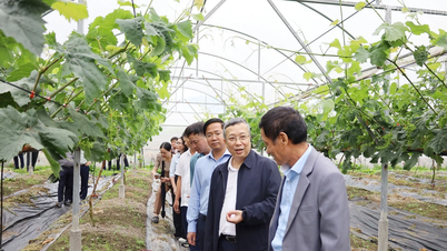 Thứ trưởng Bộ Nông nghiệp và Môi trường khảo sát vùng sản xuất nông nghiệp công nghệ cao tại Y Tý