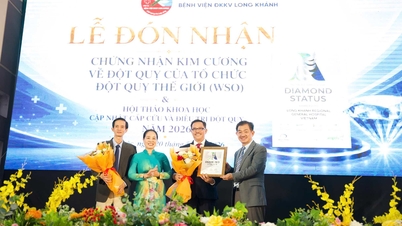 El Hospital General Regional de Long Khánh recibe la certificación Diamond Standard de la Organización Mundial del Ictus.