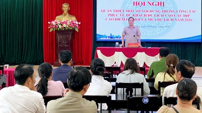 Thuan Hoa konzentriert sich darauf, Touristen während der Hochsaison zu bedienen.