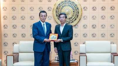 Hiệp hội Doanh nghiệp Nhật Bản tại Đà Nẵng góp phần thúc đẩy thu hút đầu tư