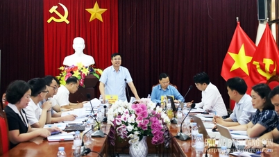 ការវាយតម្លៃលទ្ធផលនៃគម្រោងសាកល្បងសម្រាប់ការសាងសង់ស្ពានចរាចរណ៍ជនបទ។
