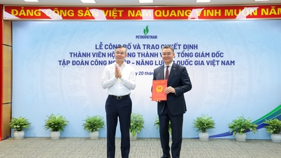 Tillkännagivande och presentation av beslut om utnämning av styrelseledamöter och generaldirektör för Vietnam National Energy and Industry Corporation.