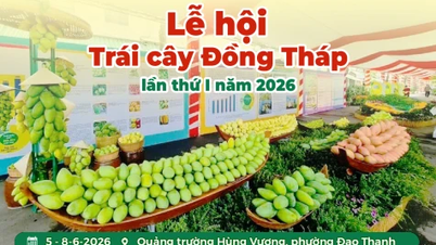[Infografic] Primul Festival al Fructelor Dong Thap din 2026, cu tema: „Dong Thap - Țara Fructelor Dulci”