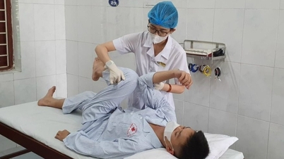 El Hospital de Rehabilitación Hai Duong está cualificado para proporcionar orientación sobre prácticas de examen médico y tratamiento para 6 categorías laborales.