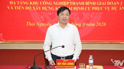 Đẩy nhanh tiến độ Dự án Khu công nghiệp Thanh Bình giai đoạn 2