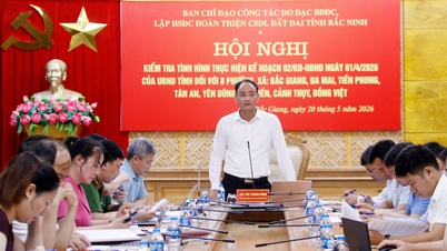 Bac Ninh: Kontrola postupu čištění pozemkových dat v 8 obvodech a obcích.
