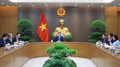 Başbakan Le Minh Hung, Yeni Zelanda Başbakanı ile telefon görüşmesi yaptı.