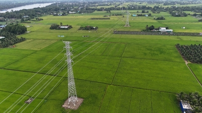 Tay Ninh Power Company: Die Inbetriebnahme vieler wichtiger 110-kV-Stromnetzprojekte wurde vorzeitig abgeschlossen.