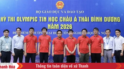 Vietnam gewinnt 6 Medaillen bei der Asien-Pazifik-Informatik-Olympiade.