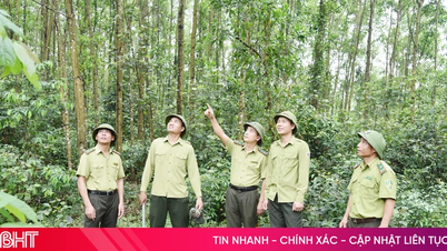 Schutz von über 100.000 Hektar Wald in der heißesten Region der Provinz Ha Tinh.