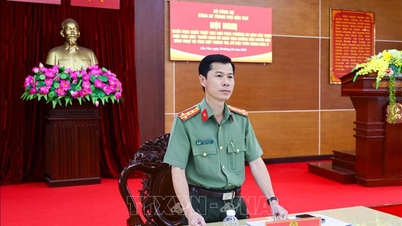 Menggalakkan pendigitalan dan membangunkan warga digital yang komprehensif.