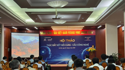 Thúc đẩy kết nối cung-cầu công nghệ, hỗ trợ doanh nghiệp tiếp cận và ứng dụng công nghệ tiên tiến