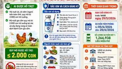 Tay Ninh: Lansering av den första fasen av registrering för behov av gratis vaccin mot fågelinfluensa under 2026.