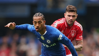Chelsea star speaks out after controversial decision by manager Ancelotti, left out of Brazil squad.