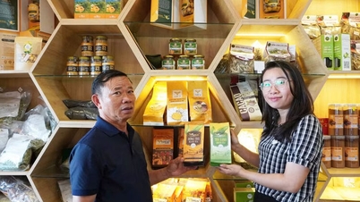 Conservando el sabor del té Bien Ho.