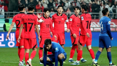 Đội tuyển Hàn Quốc gây tranh cãi vì kế hoạch 'lạ', Park Ji-sung dự đoán bất ngờ