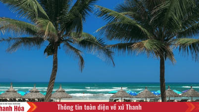 Odkryj Da Nang – idealne miejsce na rodzinne wakacje tego lata.