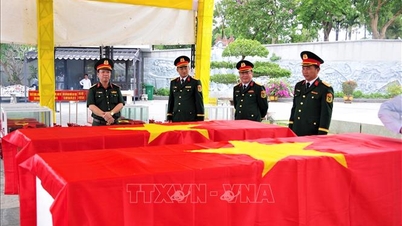 Receiving the remains of Vietnamese volunteer soldiers and experts who died in Laos back home.