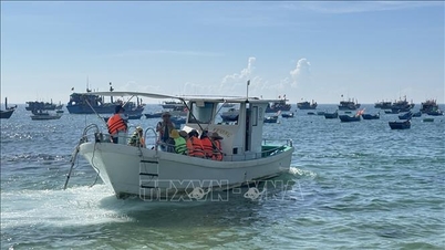 Riesgos para la seguridad derivados de las excursiones por vías fluviales no reguladas.
